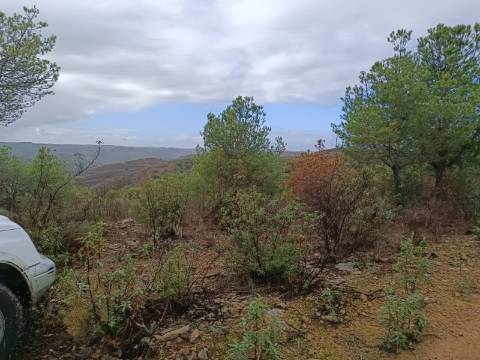 TERRENO COM 60.200 M2 - COM POSSIBILIDADE DE CONSTRUÇÃO - MORADIA - TURISMO - PALMEIRA - ALCOUTIM - ALGARVE