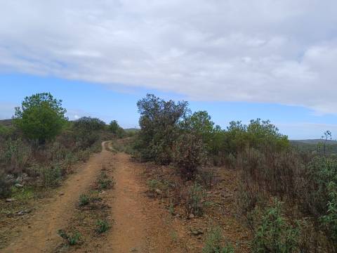 TERRENO COM 60.200 M2 - COM POSSIBILIDADE DE CONSTRUÇÃO - MORADIA - TURISMO - PALMEIRA - ALCOUTIM - ALGARVE