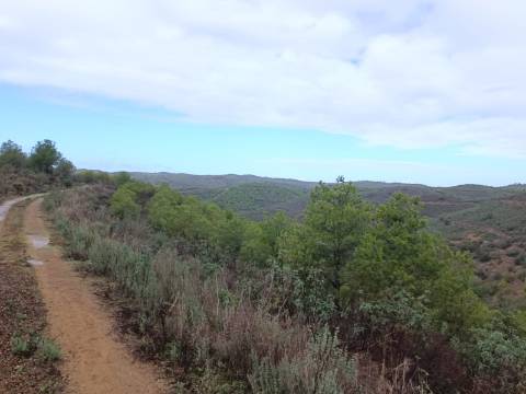 TERRENO COM 60.200 M2 - COM POSSIBILIDADE DE CONSTRUÇÃO - MORADIA - TURISMO - PALMEIRA - ALCOUTIM - ALGARVE