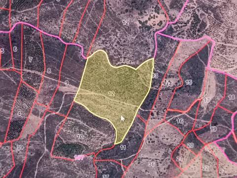 TERRENO COM 60.200 M2 - COM POSSIBILIDADE DE CONSTRUÇÃO - MORADIA - TURISMO - PALMEIRA - ALCOUTIM - ALGARVE