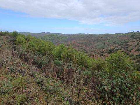 TERRENO COM 60.200 M2 - COM POSSIBILIDADE DE CONSTRUÇÃO - MORADIA - TURISMO - PALMEIRA - ALCOUTIM - ALGARVE