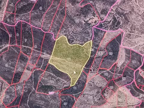 TERRENO COM 60.200 M2 - COM POSSIBILIDADE DE CONSTRUÇÃO - MORADIA - TURISMO - PALMEIRA - ALCOUTIM - ALGARVE