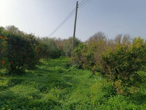 MORADIA TÉRREA - COM TERRENO DE 11.820 M2 - COM POMAR - RIO SECO - CASTRO MARIM - ALGARVE