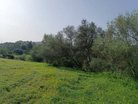 MORADIA TÉRREA - COM TERRENO DE 11.820 M2 - COM POMAR - RIO SECO - CASTRO MARIM - ALGARVE