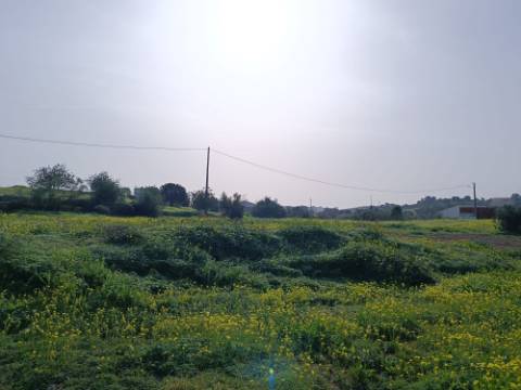 MORADIA TÉRREA - COM TERRENO DE 11.820 M2 - COM POMAR - RIO SECO - CASTRO MARIM - ALGARVE