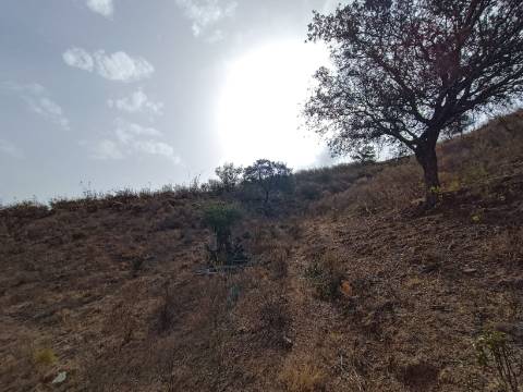 TERRENO RUSTICO COM 6000 M2 - JUNTO A ALDEIA DO TANOEIRO EM CASTRO MARIM - ALGARVE