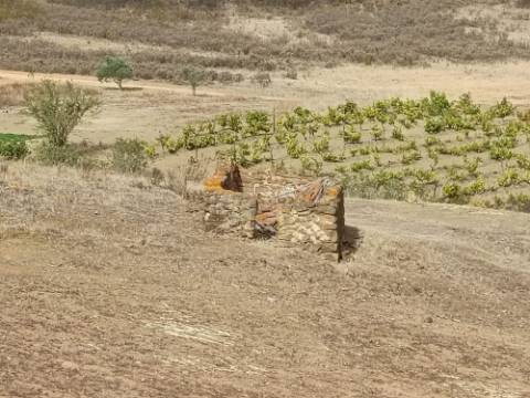 TERRENO RUSTICO COM 6000 M2 - JUNTO A ALDEIA DO TANOEIRO EM CASTRO MARIM - ALGARVE
