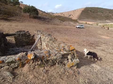 TERRENO RUSTICO COM 6000 M2 - JUNTO A ALDEIA DO TANOEIRO EM CASTRO MARIM - ALGARVE