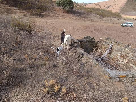 TERRENO RUSTICO COM 6000 M2 - JUNTO A ALDEIA DO TANOEIRO EM CASTRO MARIM - ALGARVE