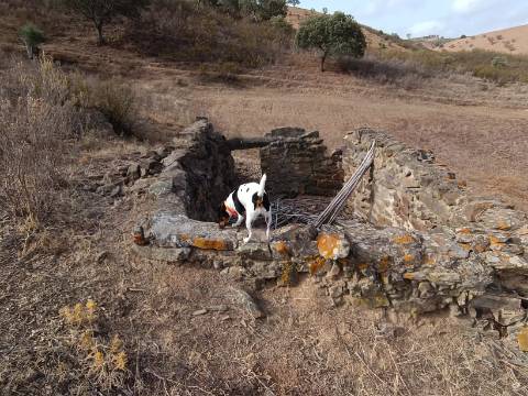 TERRENO RUSTICO COM 6000 M2 - JUNTO A ALDEIA DO TANOEIRO EM CASTRO MARIM - ALGARVE