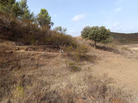 TERRENO RUSTICO COM 6000 M2 - JUNTO A ALDEIA DO TANOEIRO EM CASTRO MARIM - ALGARVE