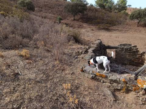 TERRENO RUSTICO COM 6000 M2 - JUNTO A ALDEIA DO TANOEIRO EM CASTRO MARIM - ALGARVE