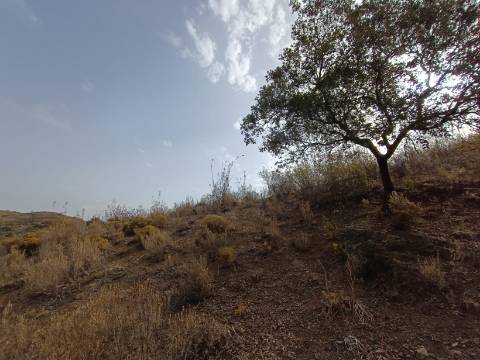 TERRENO RUSTICO COM 6000 M2 - JUNTO A ALDEIA DO TANOEIRO EM CASTRO MARIM - ALGARVE