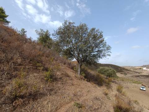 TERRENO RUSTICO COM 6000 M2 - JUNTO A ALDEIA DO TANOEIRO EM CASTRO MARIM - ALGARVE