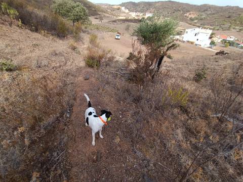 TERRENO RUSTICO COM 6000 M2 - JUNTO A ALDEIA DO TANOEIRO EM CASTRO MARIM - ALGARVE