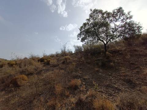 TERRENO RUSTICO COM 6000 M2 - JUNTO A ALDEIA DO TANOEIRO EM CASTRO MARIM - ALGARVE
