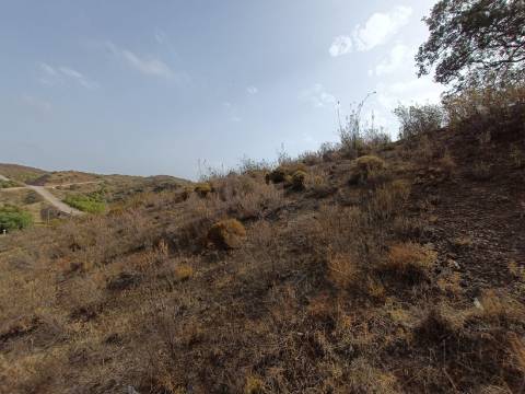 TERRENO RUSTICO COM 6000 M2 - JUNTO A ALDEIA DO TANOEIRO EM CASTRO MARIM - ALGARVE