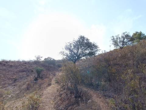 TERRENO RUSTICO COM 6000 M2 - JUNTO A ALDEIA DO TANOEIRO EM CASTRO MARIM - ALGARVE