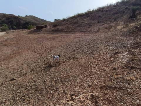 TERRENO RUSTICO COM 6000 M2 - JUNTO A ALDEIA DO TANOEIRO EM CASTRO MARIM - ALGARVE
