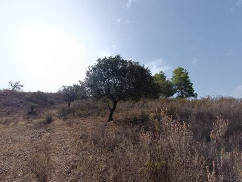 TERRENO RUSTICO COM 6000 M2 - JUNTO A ALDEIA DO TANOEIRO EM CASTRO MARIM - ALGARVE