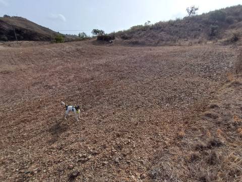 TERRENO RUSTICO COM 6000 M2 - JUNTO A ALDEIA DO TANOEIRO EM CASTRO MARIM - ALGARVE