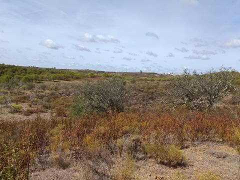 Terreno Rústico com 3.200 m2 sito na Murteira de Baixo, Azinhal em castro Marim