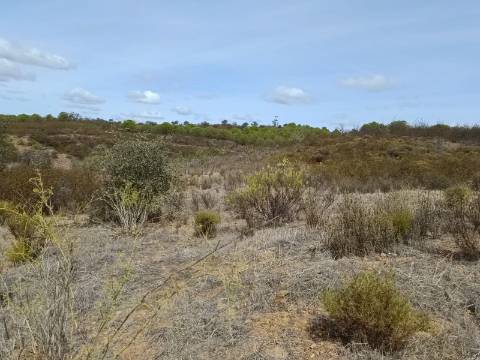 Terreno Rústico com 3.200 m2 sito na Murteira de Baixo, Azinhal em castro Marim