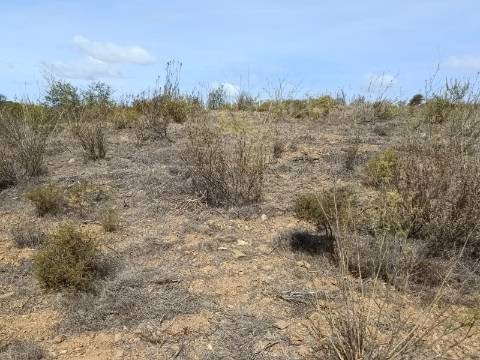 Terreno Rústico com 3.200 m2 sito na Murteira de Baixo, Azinhal em castro Marim