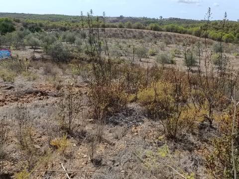 Terreno Rústico com 3.200 m2 sito na Murteira de Baixo, Azinhal em castro Marim