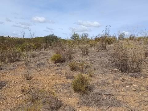 Terreno Rústico com 3.200 m2 sito na Murteira de Baixo, Azinhal em castro Marim