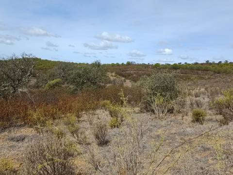 Terreno Rústico com 3.200 m2 sito na Murteira de Baixo, Azinhal em castro Marim