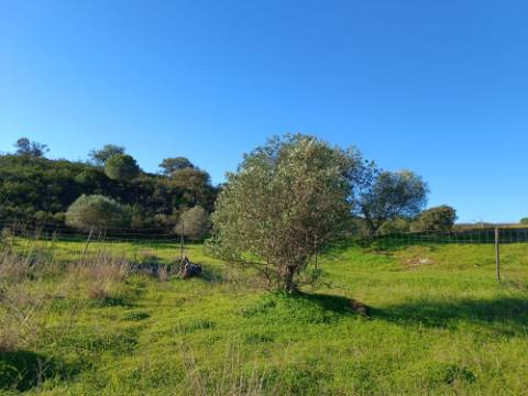 TERRENO COM 12.180 M2 - COM LICENÇA PARA FURO - PEDRA ARRANCADA - ALTURA - CASTRO MARIM - ALGARVE