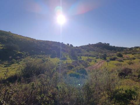 TERRENO COM 12.180 M2 - COM LICENÇA PARA FURO - PEDRA ARRANCADA - ALTURA - CASTRO MARIM - ALGARVE