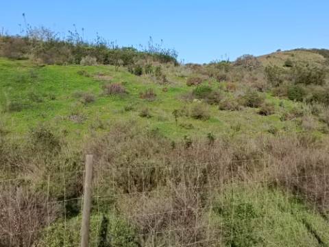 TERRENO COM 12.180 M2 - COM LICENÇA PARA FURO - PEDRA ARRANCADA - ALTURA - CASTRO MARIM - ALGARVE