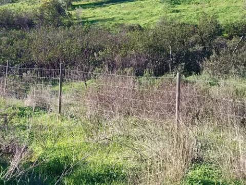 TERRENO COM 12.180 M2 - COM LICENÇA PARA FURO - PEDRA ARRANCADA - ALTURA - CASTRO MARIM - ALGARVE