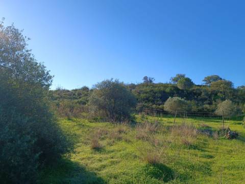 TERRENO COM 12.180 M2 - COM LICENÇA PARA FURO - PEDRA ARRANCADA - ALTURA - CASTRO MARIM - ALGARVE