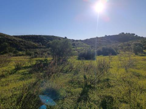 TERRENO COM 12.180 M2 - COM LICENÇA PARA FURO - PEDRA ARRANCADA - ALTURA - CASTRO MARIM - ALGARVE