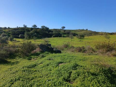 TERRENO COM 12.180 M2 - COM LICENÇA PARA FURO - PEDRA ARRANCADA - ALTURA - CASTRO MARIM - ALGARVE