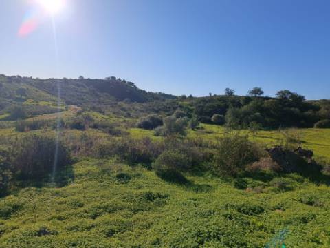 TERRENO COM 12.180 M2 - COM LICENÇA PARA FURO - PEDRA ARRANCADA - ALTURA - CASTRO MARIM - ALGARVE