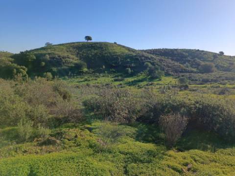TERRENO COM 12.180 M2 - COM LICENÇA PARA FURO - PEDRA ARRANCADA - ALTURA - CASTRO MARIM - ALGARVE