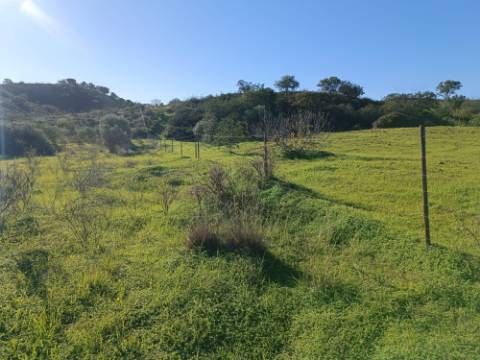 TERRENO COM 12.180 M2 - COM LICENÇA PARA FURO - PEDRA ARRANCADA - ALTURA - CASTRO MARIM - ALGARVE