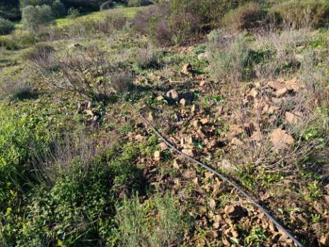 TERRENO COM 12.180 M2 - COM LICENÇA PARA FURO - PEDRA ARRANCADA - ALTURA - CASTRO MARIM - ALGARVE