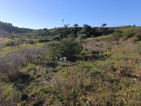 TERRENO COM 12.180 M2 - COM LICENÇA PARA FURO - PEDRA ARRANCADA - ALTURA - CASTRO MARIM - ALGARVE