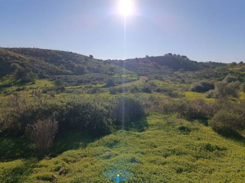 TERRENO COM 12.180 M2 - COM LICENÇA PARA FURO - PEDRA ARRANCADA - ALTURA - CASTRO MARIM - ALGARVE