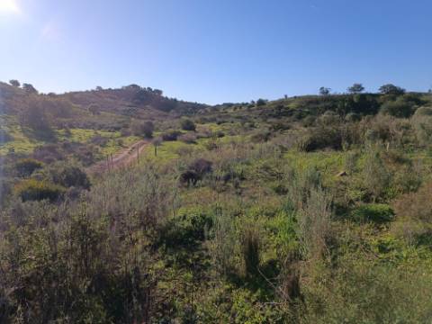 TERRENO COM 12.180 M2 - COM LICENÇA PARA FURO - PEDRA ARRANCADA - ALTURA - CASTRO MARIM - ALGARVE