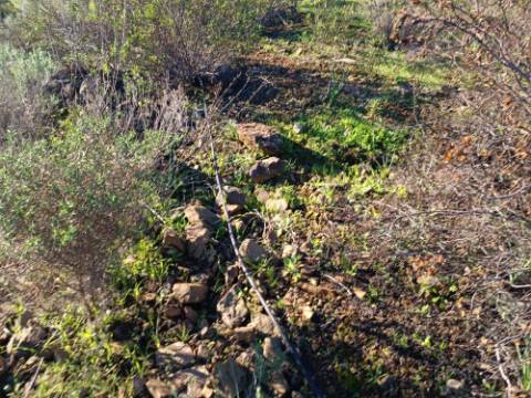 TERRENO COM 12.180 M2 - COM LICENÇA PARA FURO - PEDRA ARRANCADA - ALTURA - CASTRO MARIM - ALGARVE