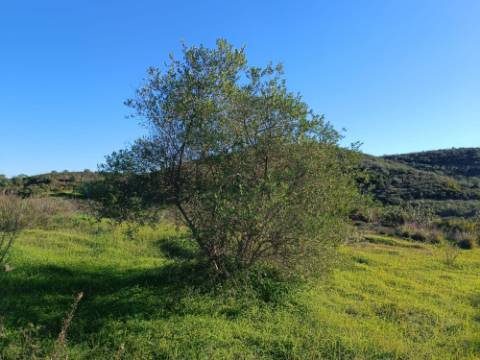 TERRENO COM 12.180 M2 - COM LICENÇA PARA FURO - PEDRA ARRANCADA - ALTURA - CASTRO MARIM - ALGARVE
