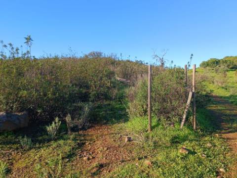 TERRENO COM 12.180 M2 - COM LICENÇA PARA FURO - PEDRA ARRANCADA - ALTURA - CASTRO MARIM - ALGARVE