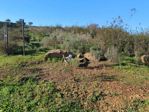 TERRENO COM 12.180 M2 - COM LICENÇA PARA FURO - PEDRA ARRANCADA - ALTURA - CASTRO MARIM - ALGARVE