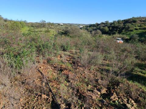 TERRENO COM 12.180 M2 - COM LICENÇA PARA FURO - PEDRA ARRANCADA - ALTURA - CASTRO MARIM - ALGARVE